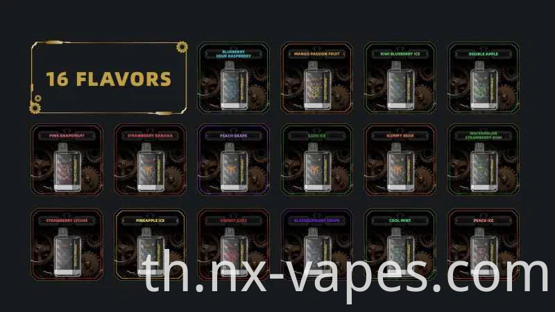 Maskking XTRO 10000 (2)